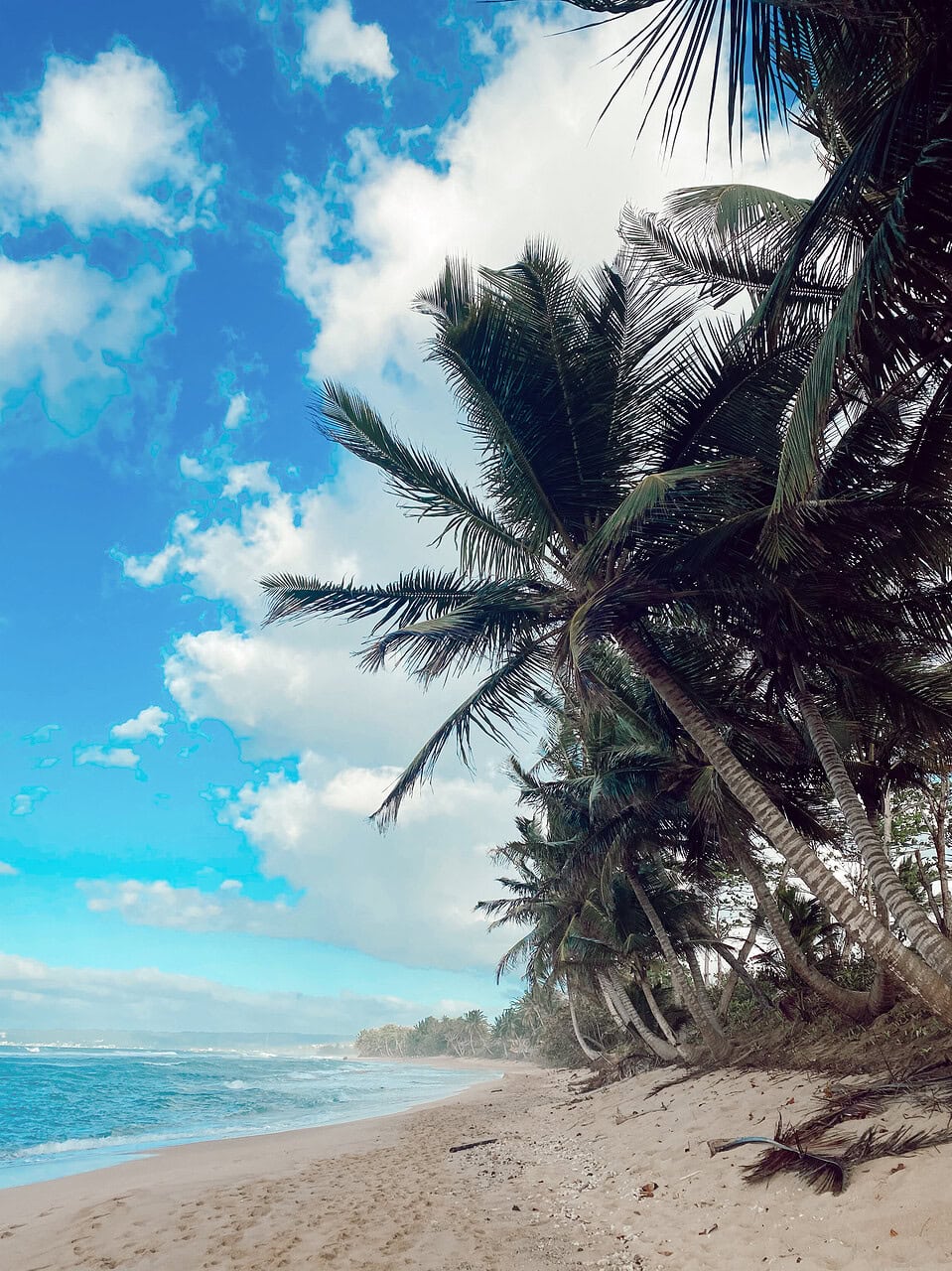 sandy beach rinconJPG