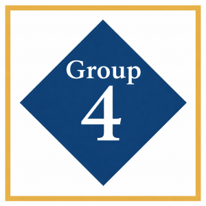 Launex group coaching icon indicating Group 4 sessions