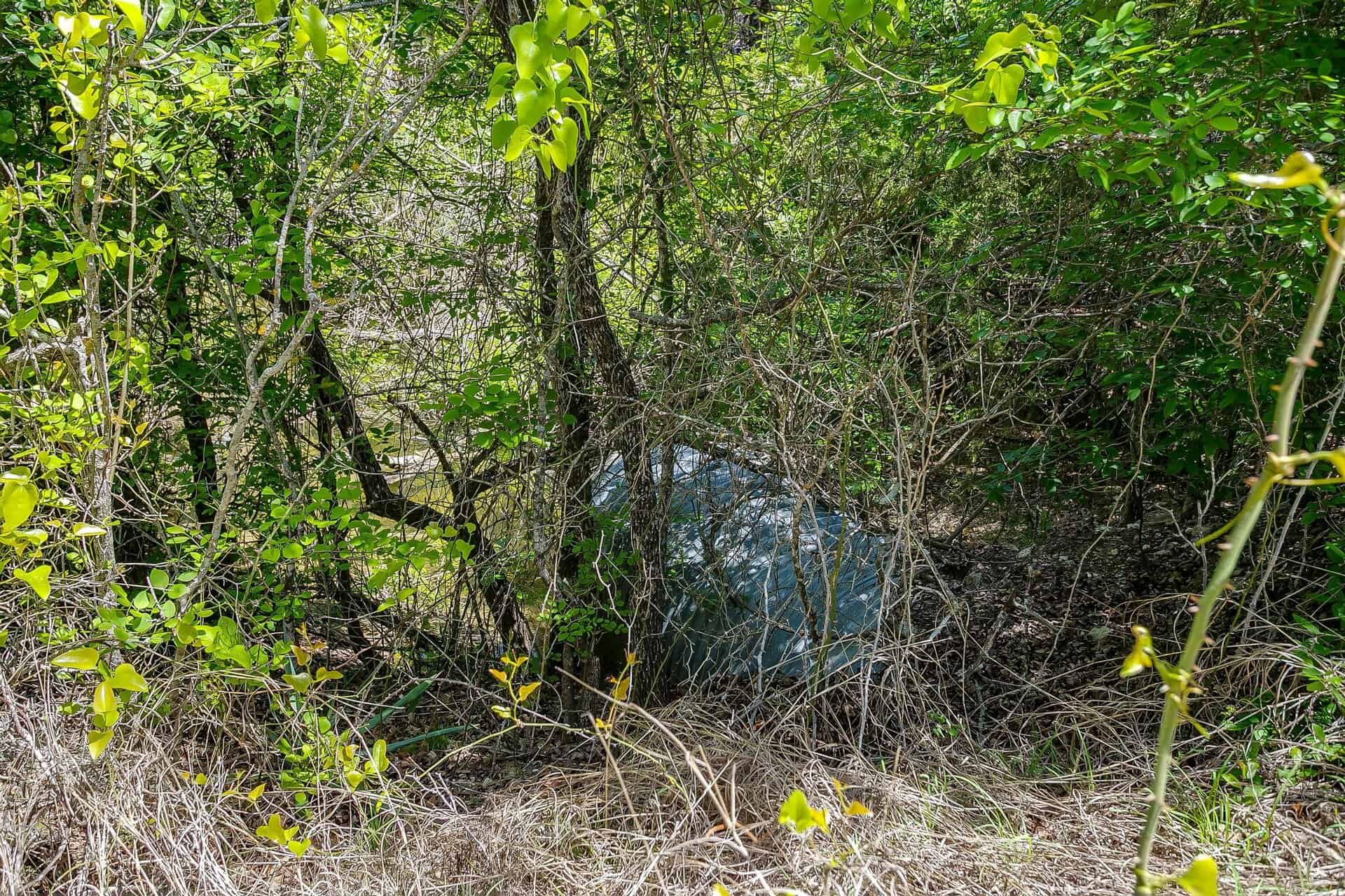 An image that shows 131 Private Rd 2549b (55 Of 79)