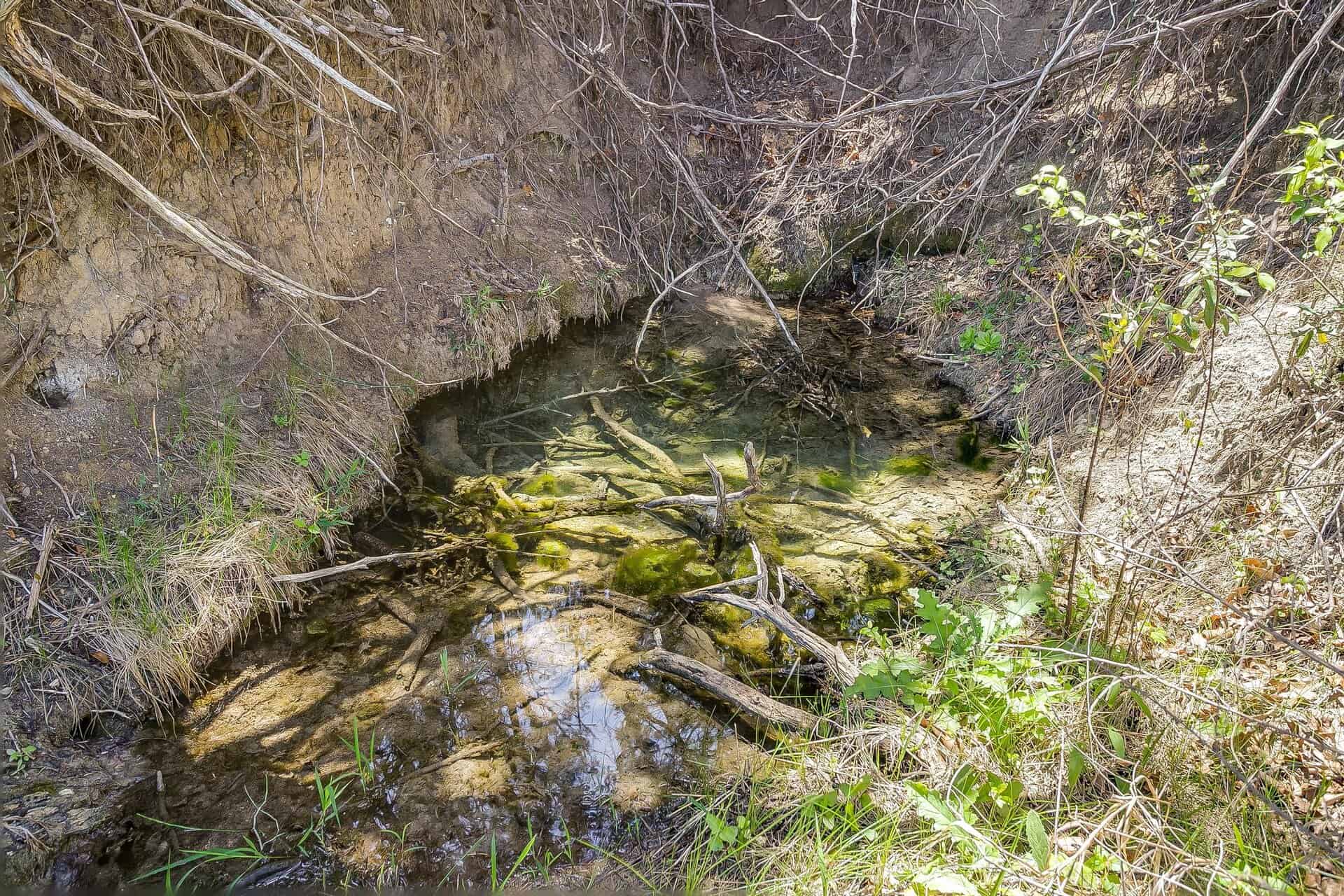 An image that shows 131 Private Rd 2549b (61 Of 79)