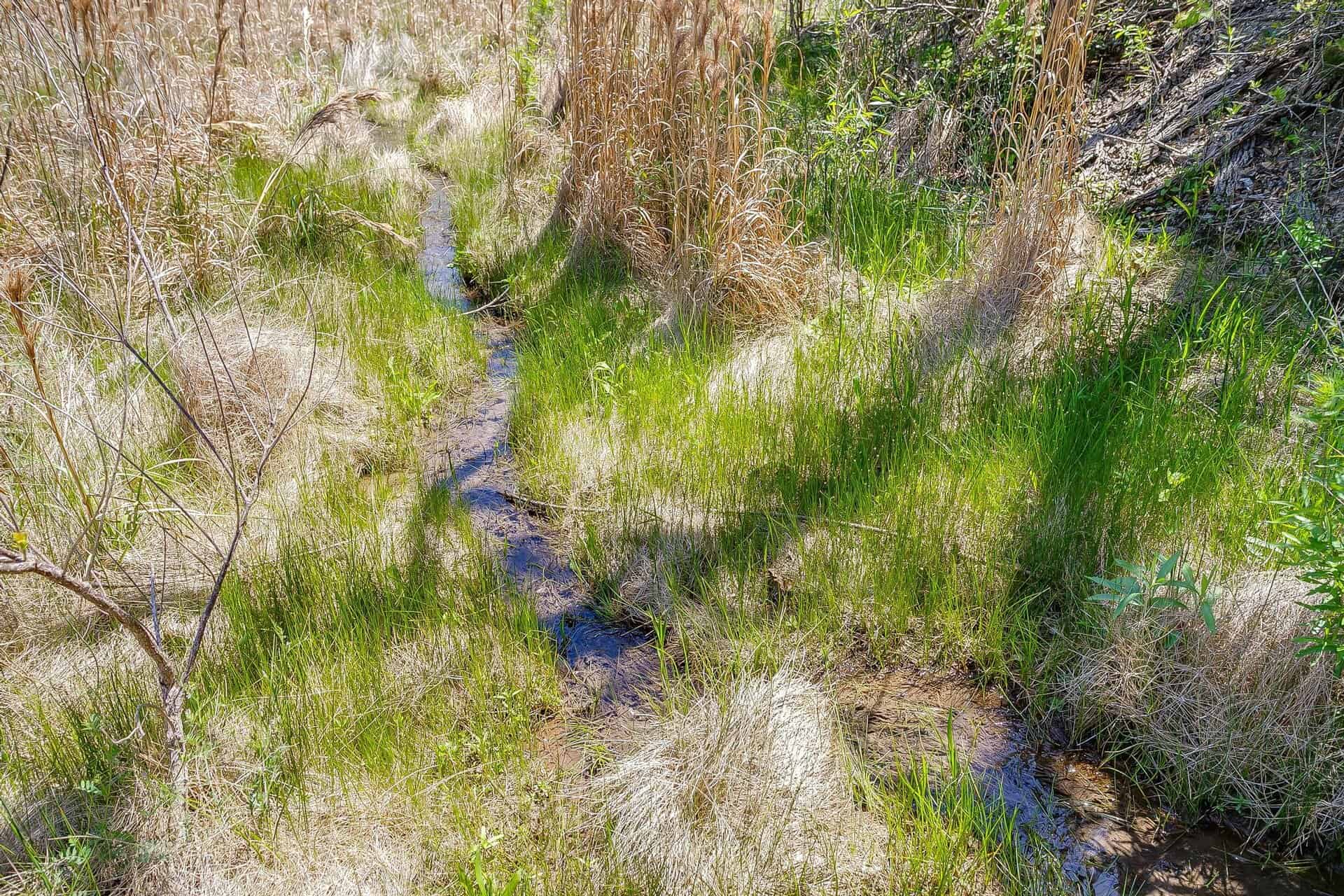 An image that shows 131 Private Rd 2549b (62 Of 79)