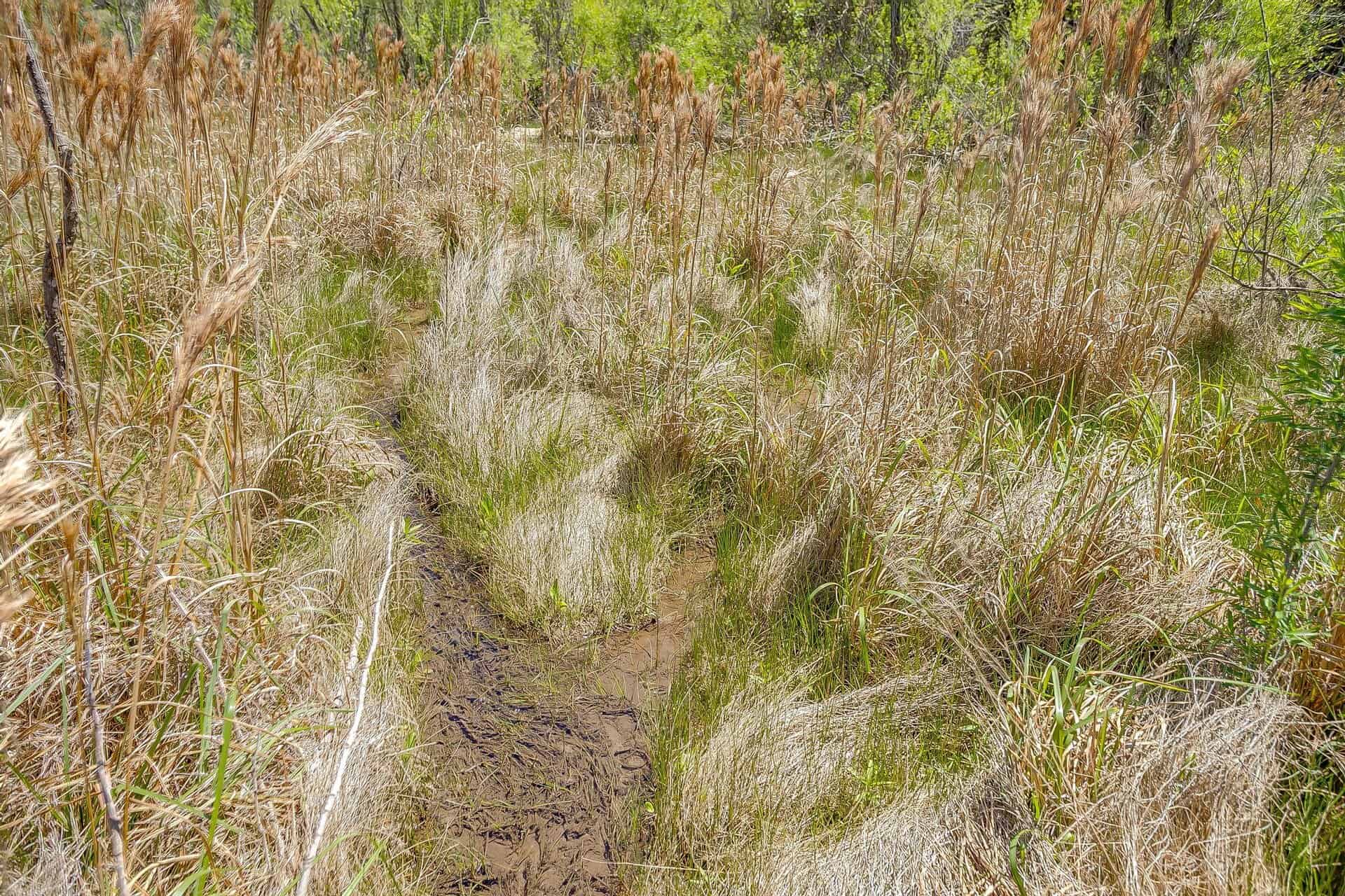 An image that shows 131 Private Rd 2549b (64 Of 79)