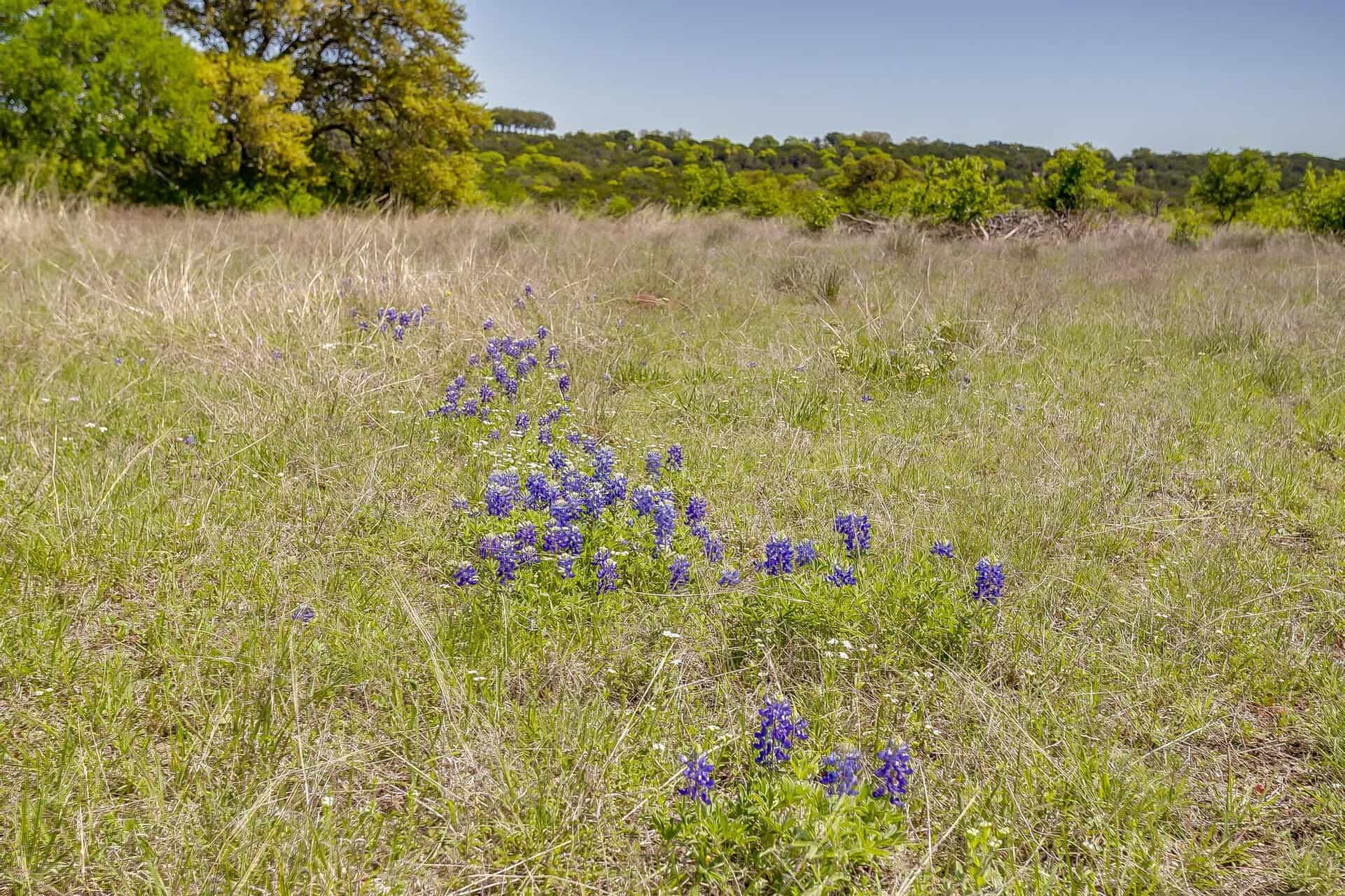 An image that shows 131 Private Rd 2549b (69 Of 79)