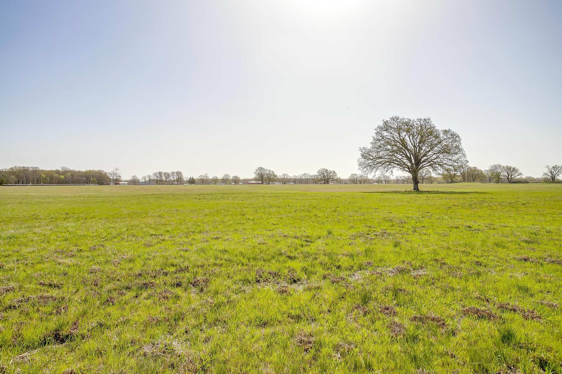 An image that shows 11833 Southview Drive (16 Of 34)