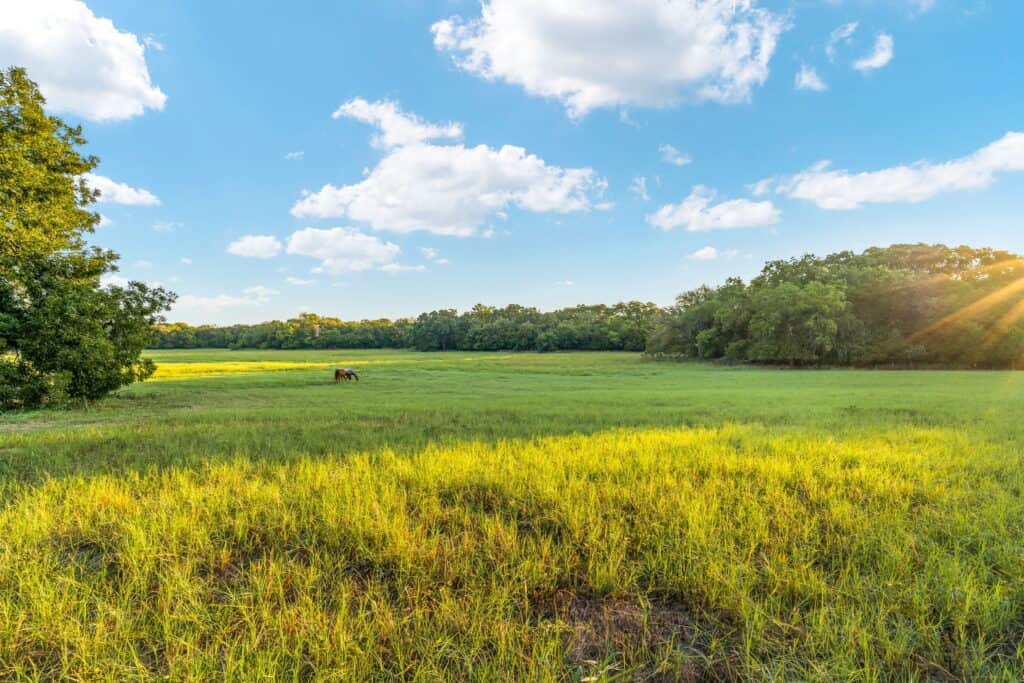 An image that shows 00 1 8 Web Or Mls Sherry Trail 8