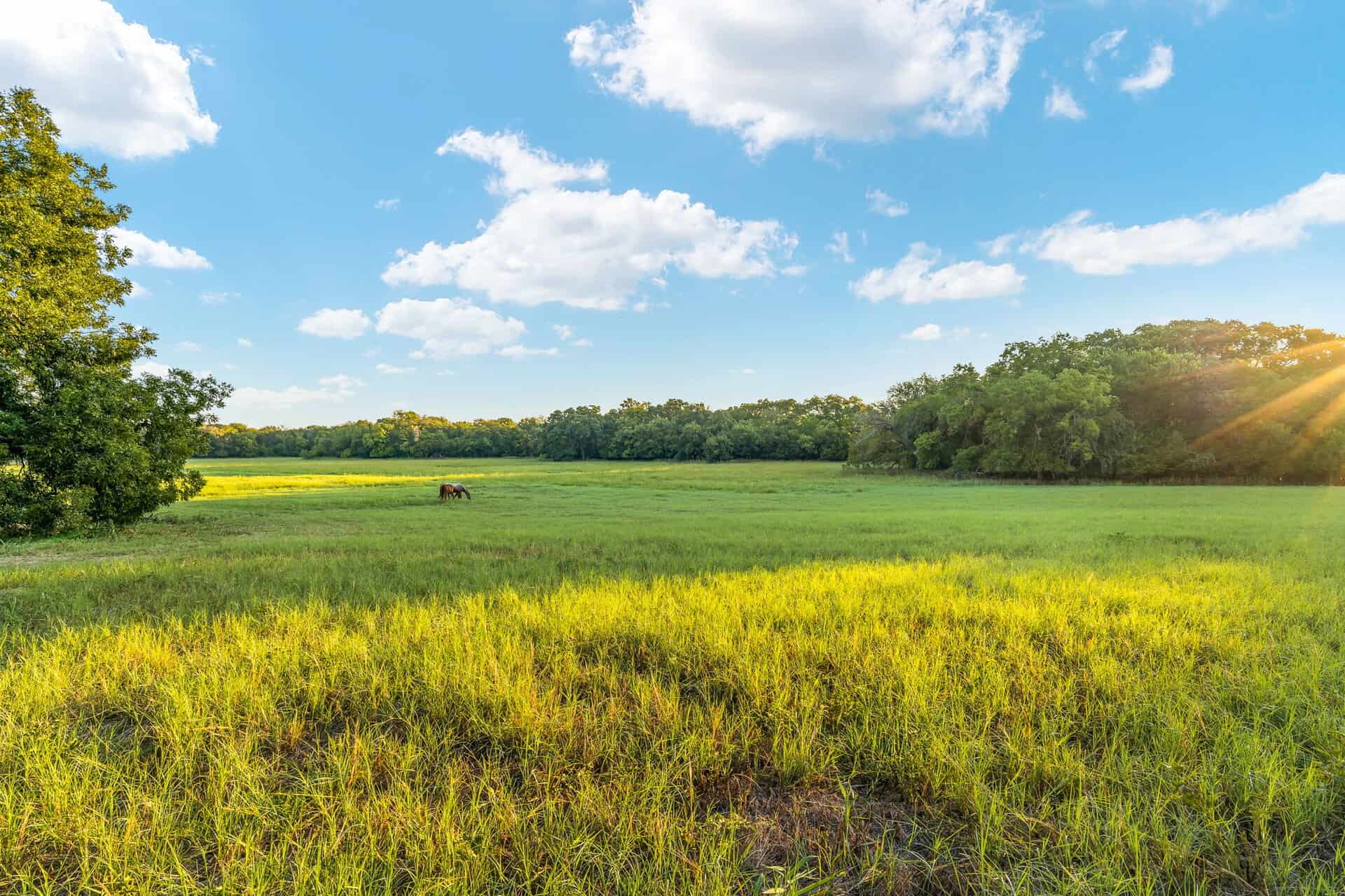 An image that shows 00 1 8 Web Or Mls Sherry Trail 8