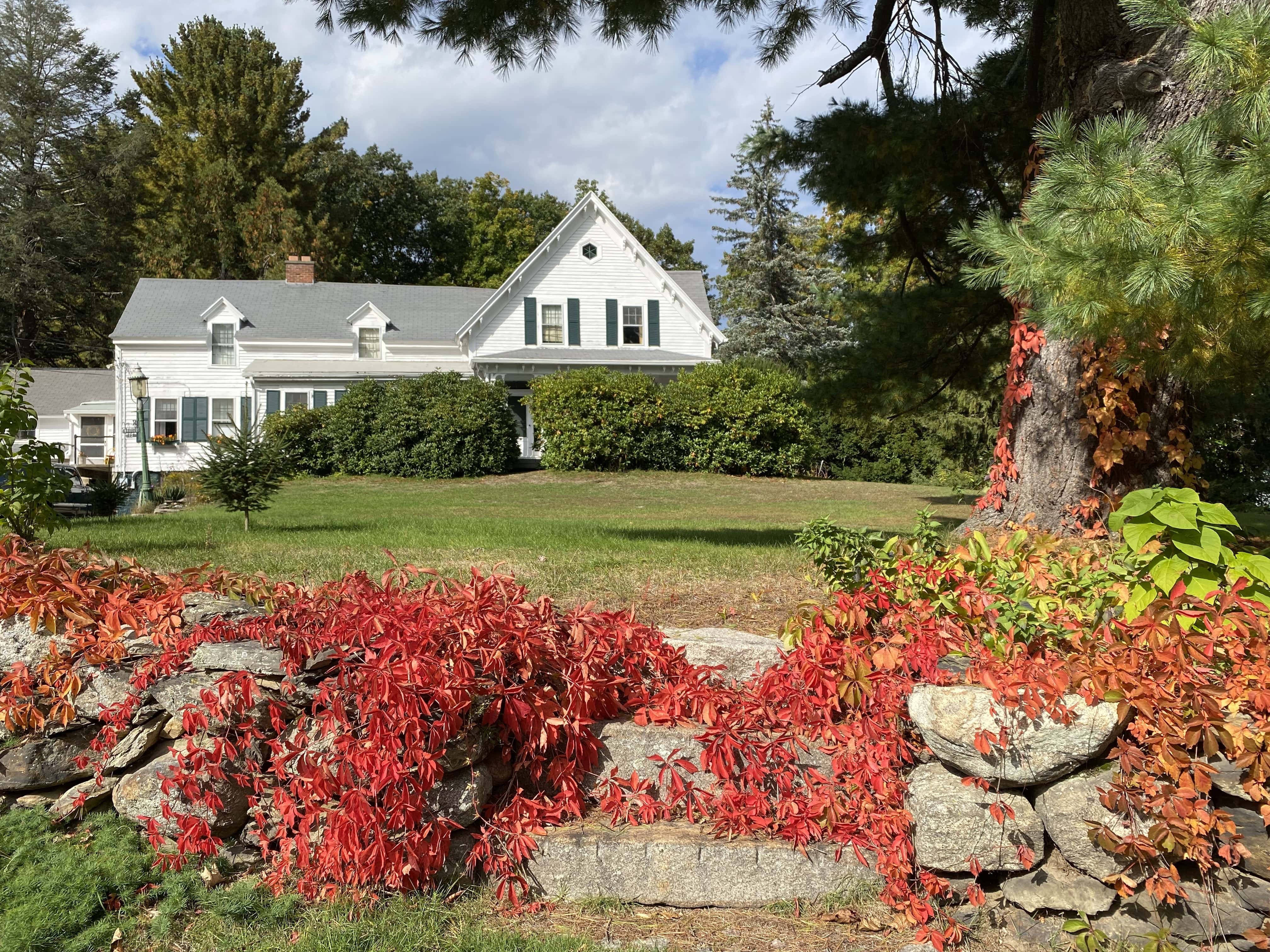 Photo of a large white farmhouse with stone steps outside covered in orange vines.