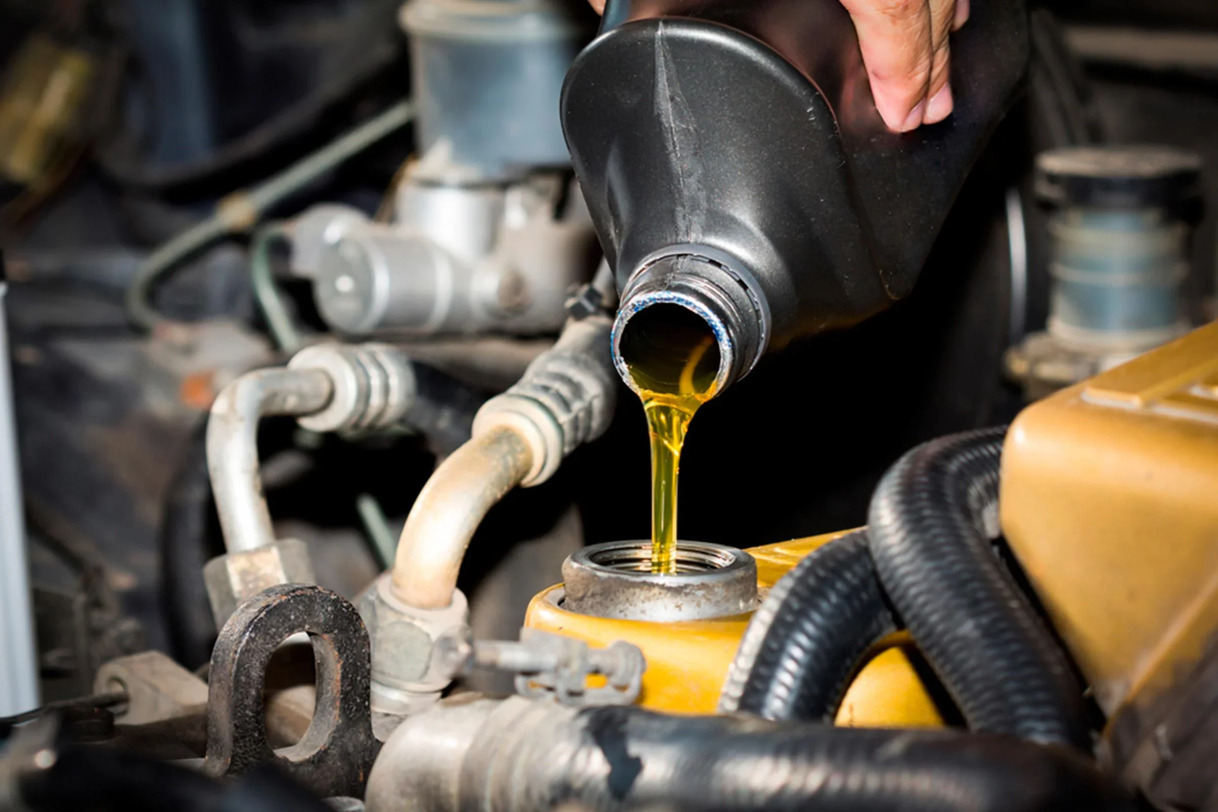 Engine oil being added during vehicle maintenance at Maryland Motor Werkz.