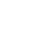 Newcastle Auto Repairs logo featuring Hyundai emblem and branding.
