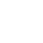 Auto repair service at Newcastle Auto Repairs, specializing in Audi maintenance and repairs.