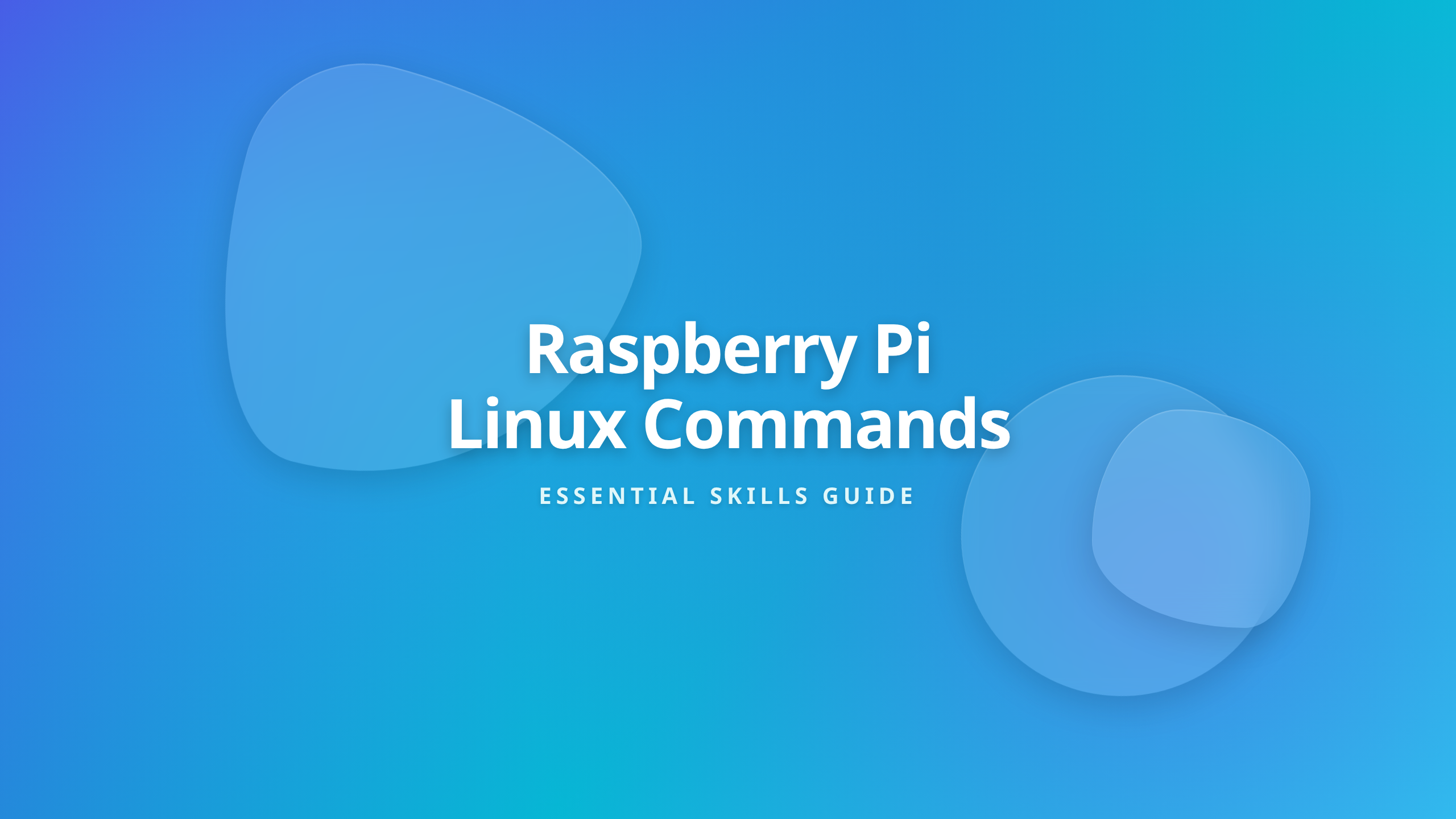 Linux commands for Raspberry Pi essential terminal guide