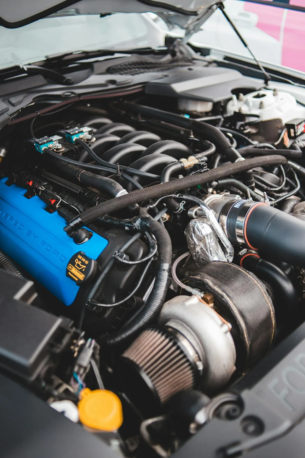 Engine bay with clean, well-maintained engine for optimal oil and filter changes.