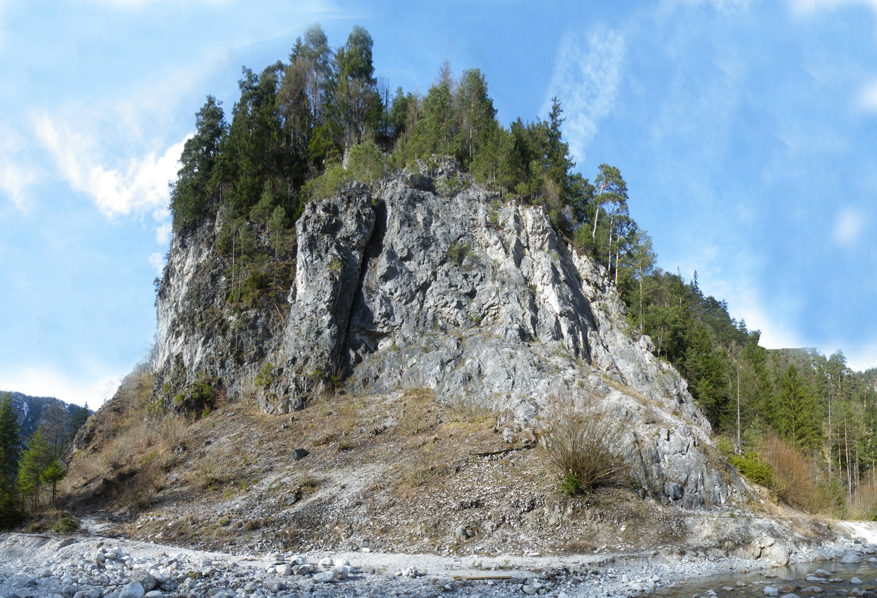 Conservation Action at Stoissengraben and the Stosswand – a Stepping Stone for the Apollo Butterfly