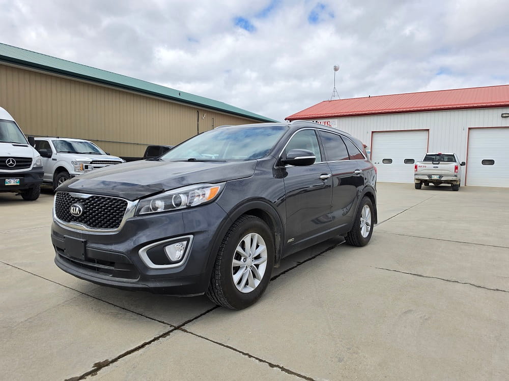Black Kia Sorento SUV parked outside Pembina Valley Auto dealership.