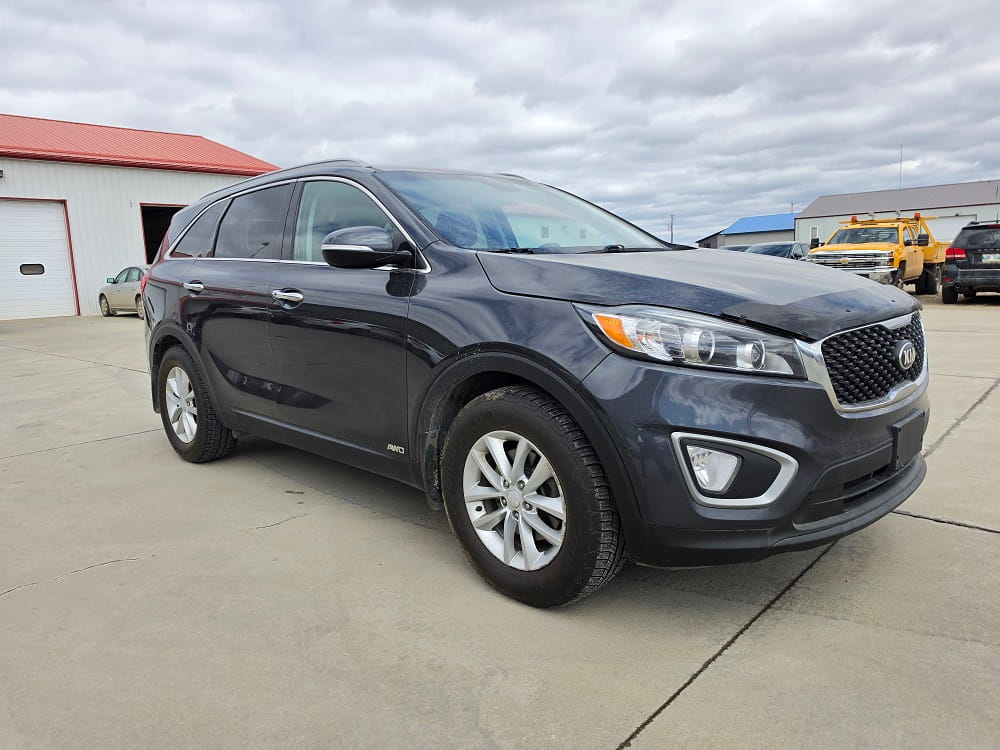 Black Kia Sorento SUV parked at Pembina Valley Auto dealership.