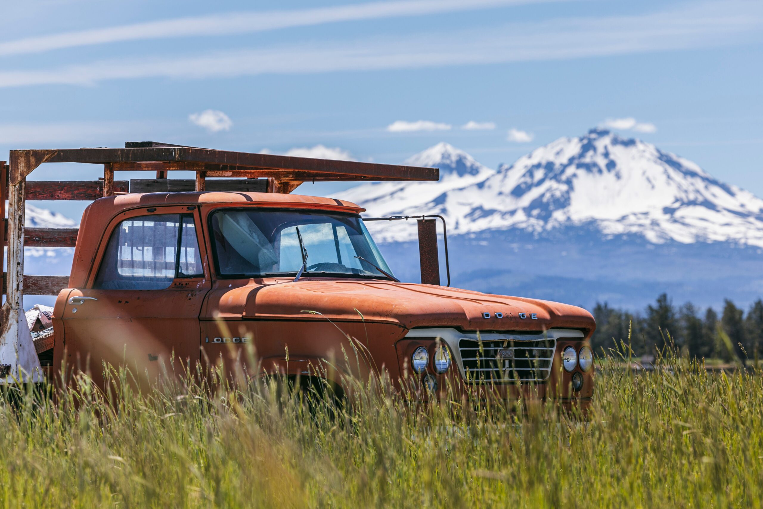 Old rusted Ford truck in a field with snow-capped mountains in the background.