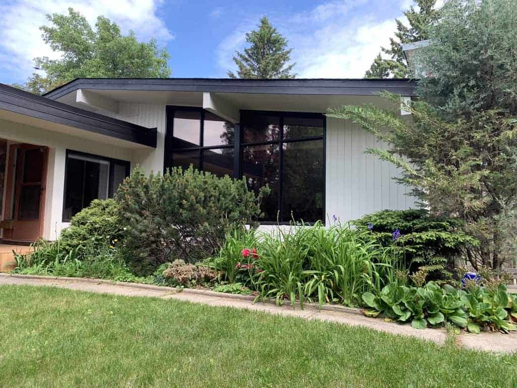 Lush garden by modern house exterior.