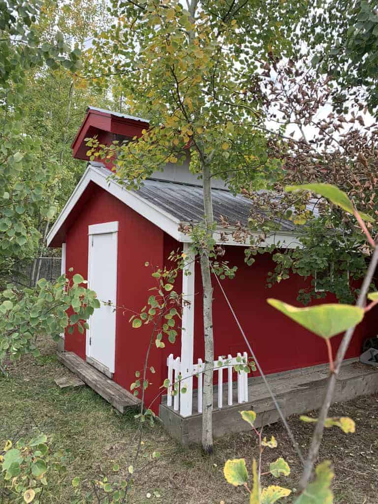 Red shed surrounded by greenery.