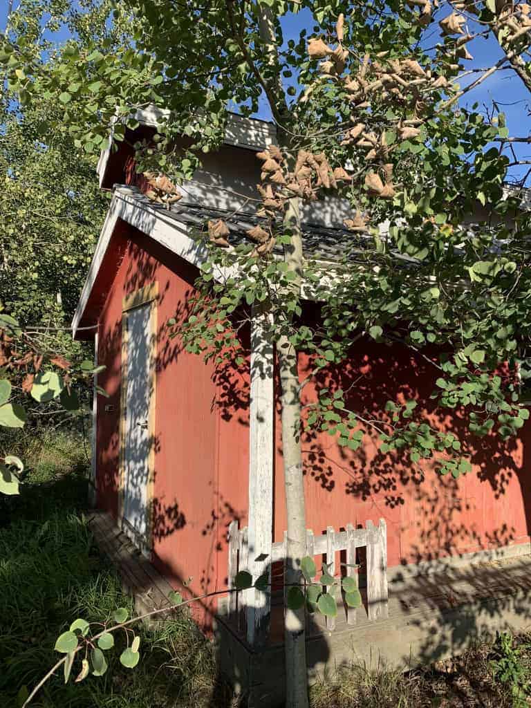 Red cabin surrounded by green trees