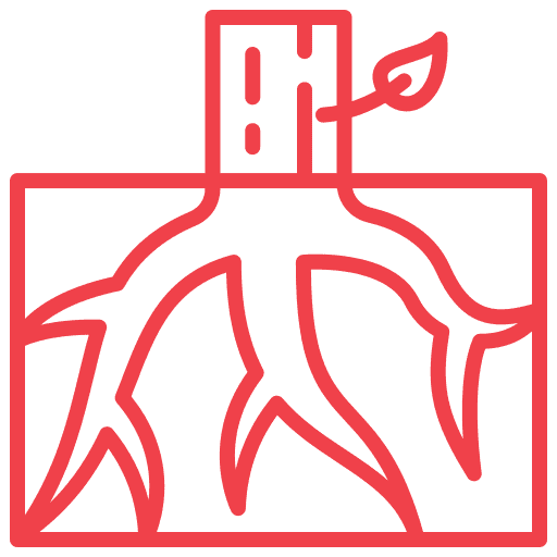 root