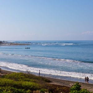 Yoga and Wellness Retreats