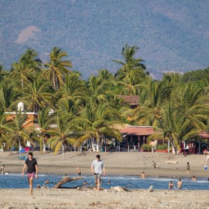 Yoga and Wellness Retreats