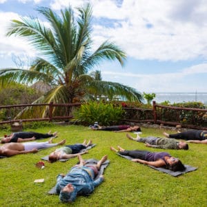Yoga and Wellness Retreats