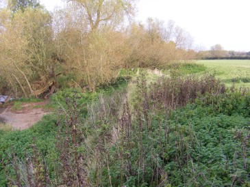 renewables first - proposed site for twin archimedean screw hydro scheme