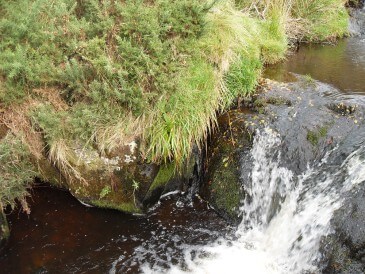  Renewables First - Buxton 15 kW crossflow turbine