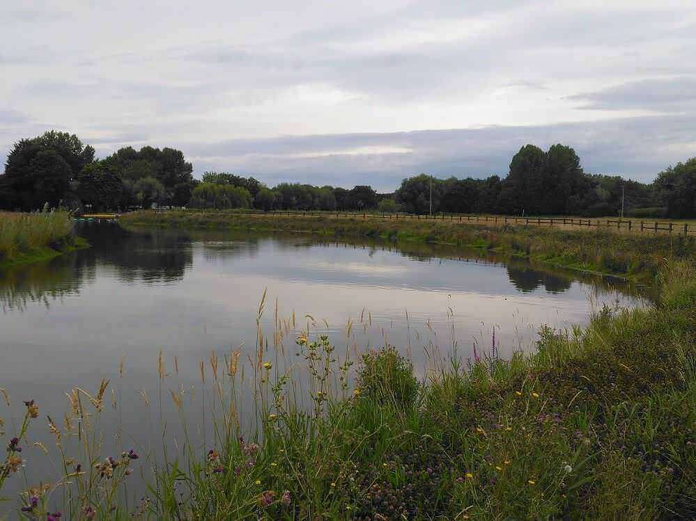 Pershore hydro scheme biodiversity - Renewables First