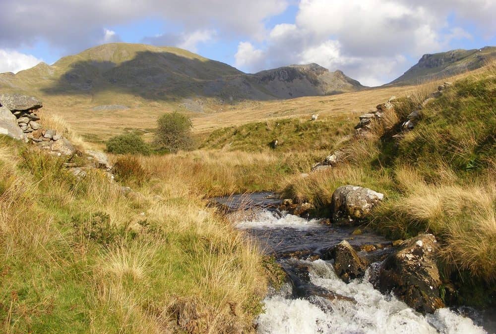 Turgo hydro turbine for Brondanw Estate, Snowdonia