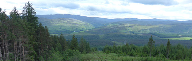 Renewables First to install hydropower scheme on Forestry Commission Scotland site