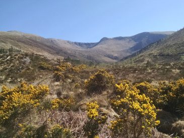 Allt Coire a Bhainidh Hydropower