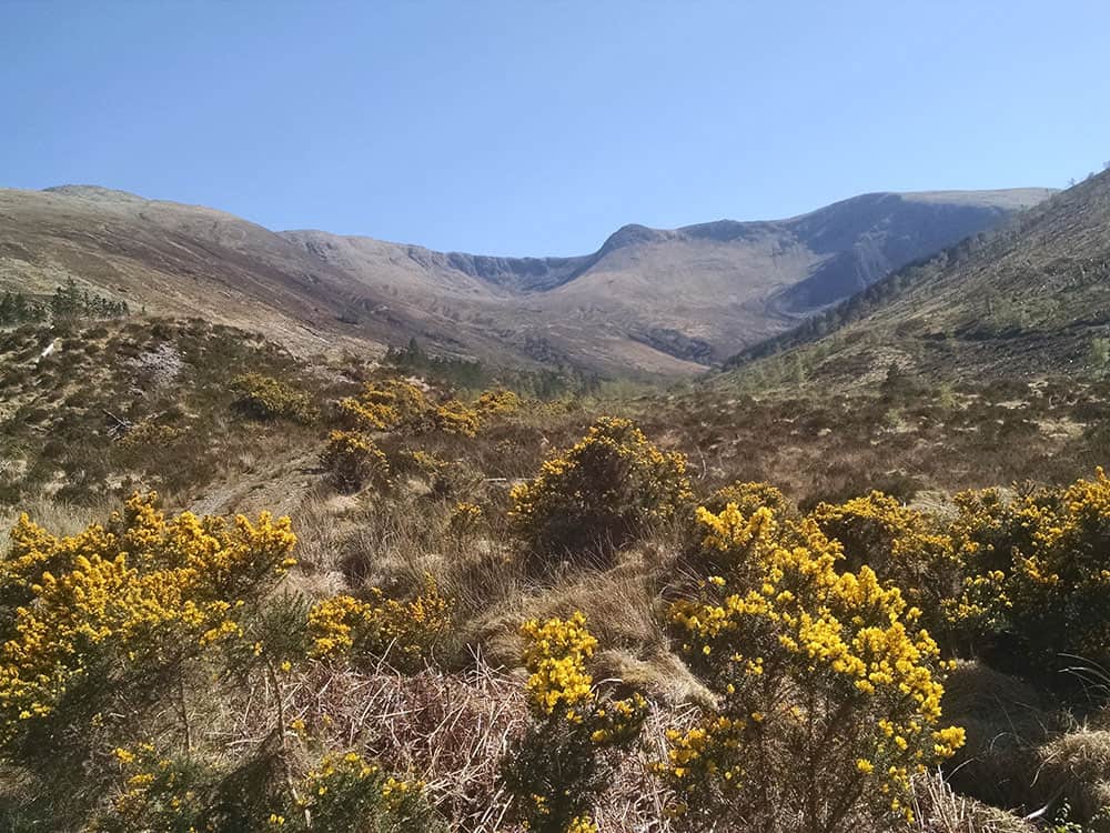 Allt Coire a Bhainidh Hydropower