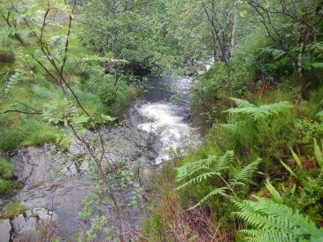 Allt Coire a Bhainidh