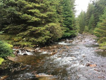Allt Eilidh 700 kW Pelton Hydropower System