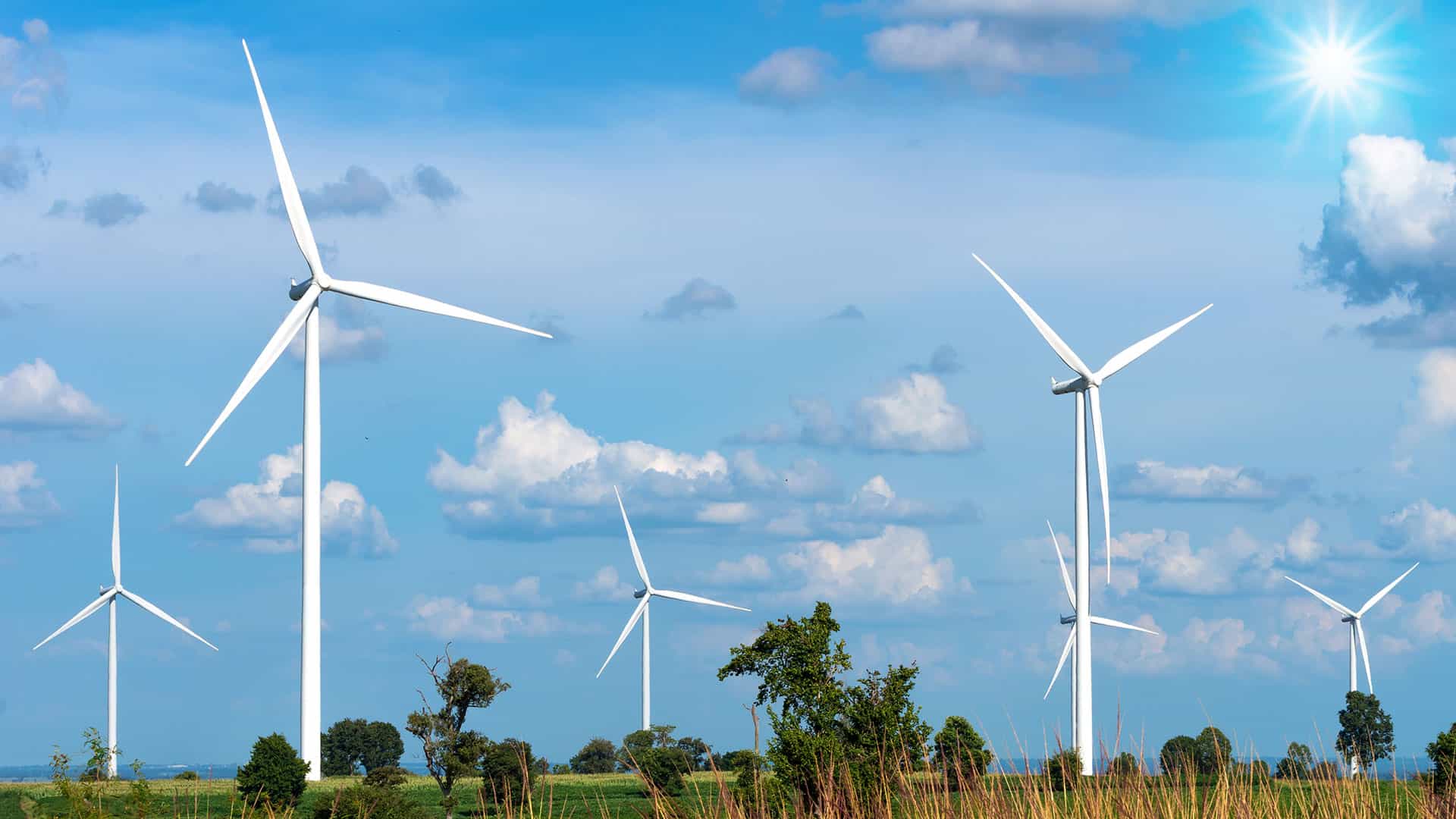 Wind Farm