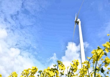 achieving net zero emissions