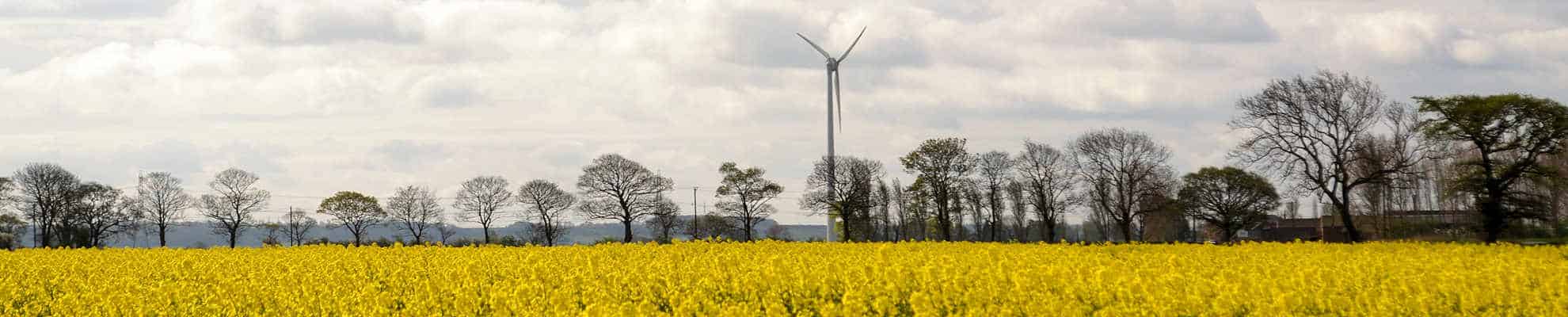 What is Net-zero - find out more