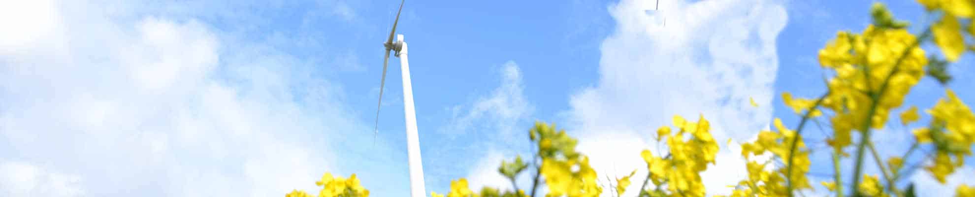 Acheiving net zero