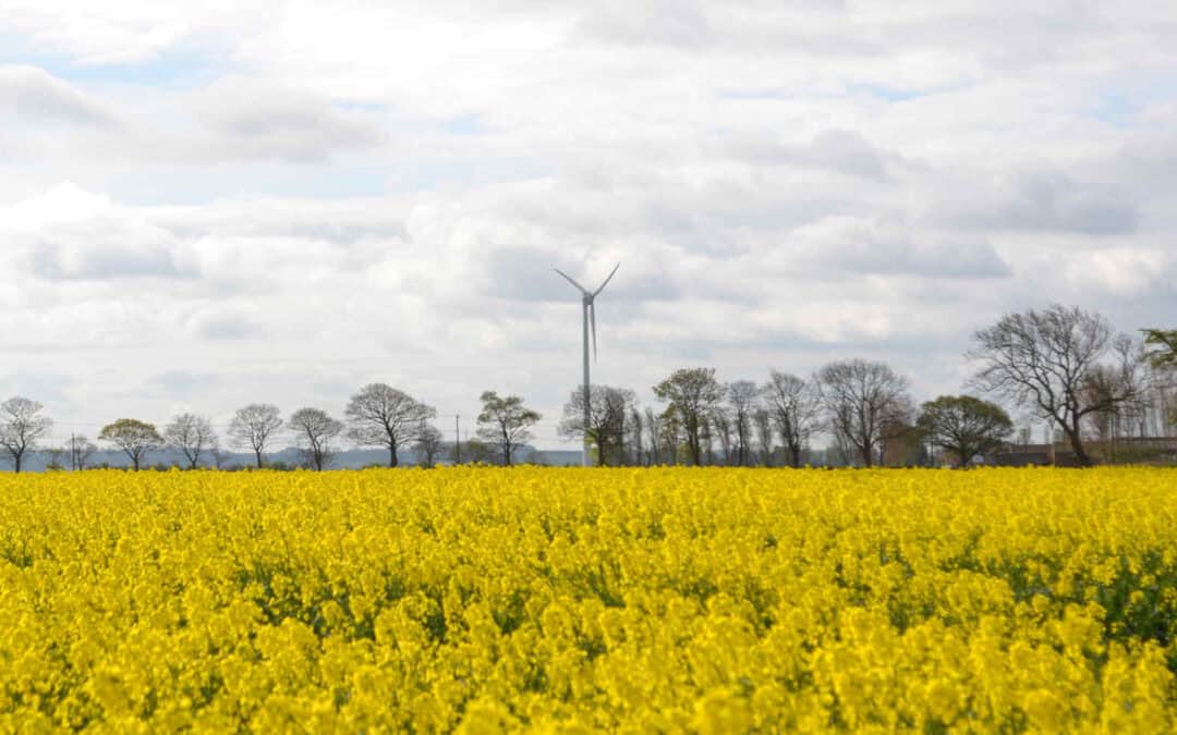 Wind Power Site Assessment: What Makes a Good Windpower Site?