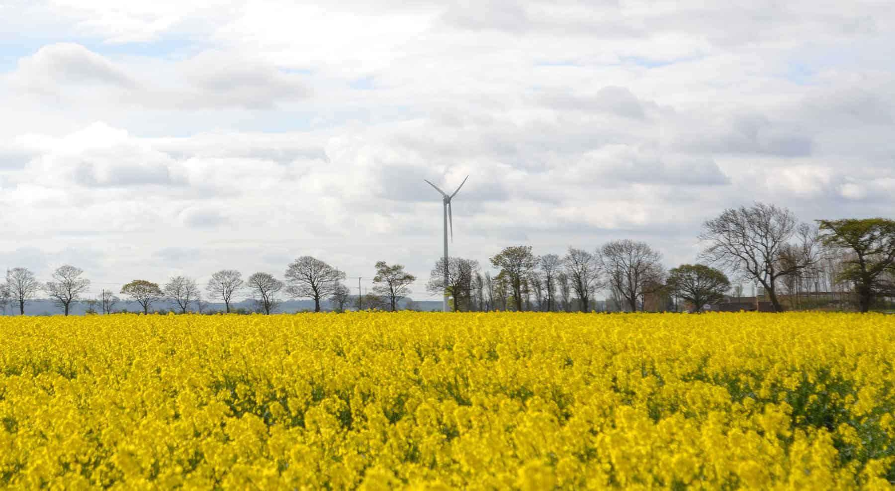 Wind Power Site Assessment: What Makes a Good Windpower Site?