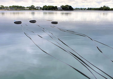 water source heat pump project