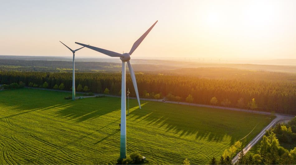 wind energy consulting firm