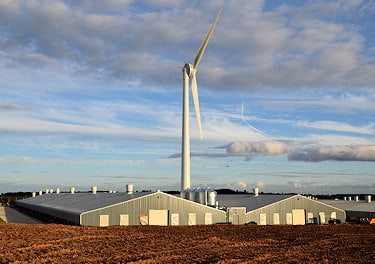 Baulker farm 500kw wind turbine on chicken farm