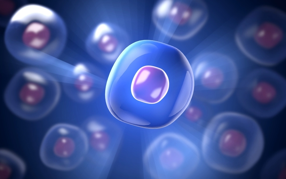 orthopedic stem cell therapy