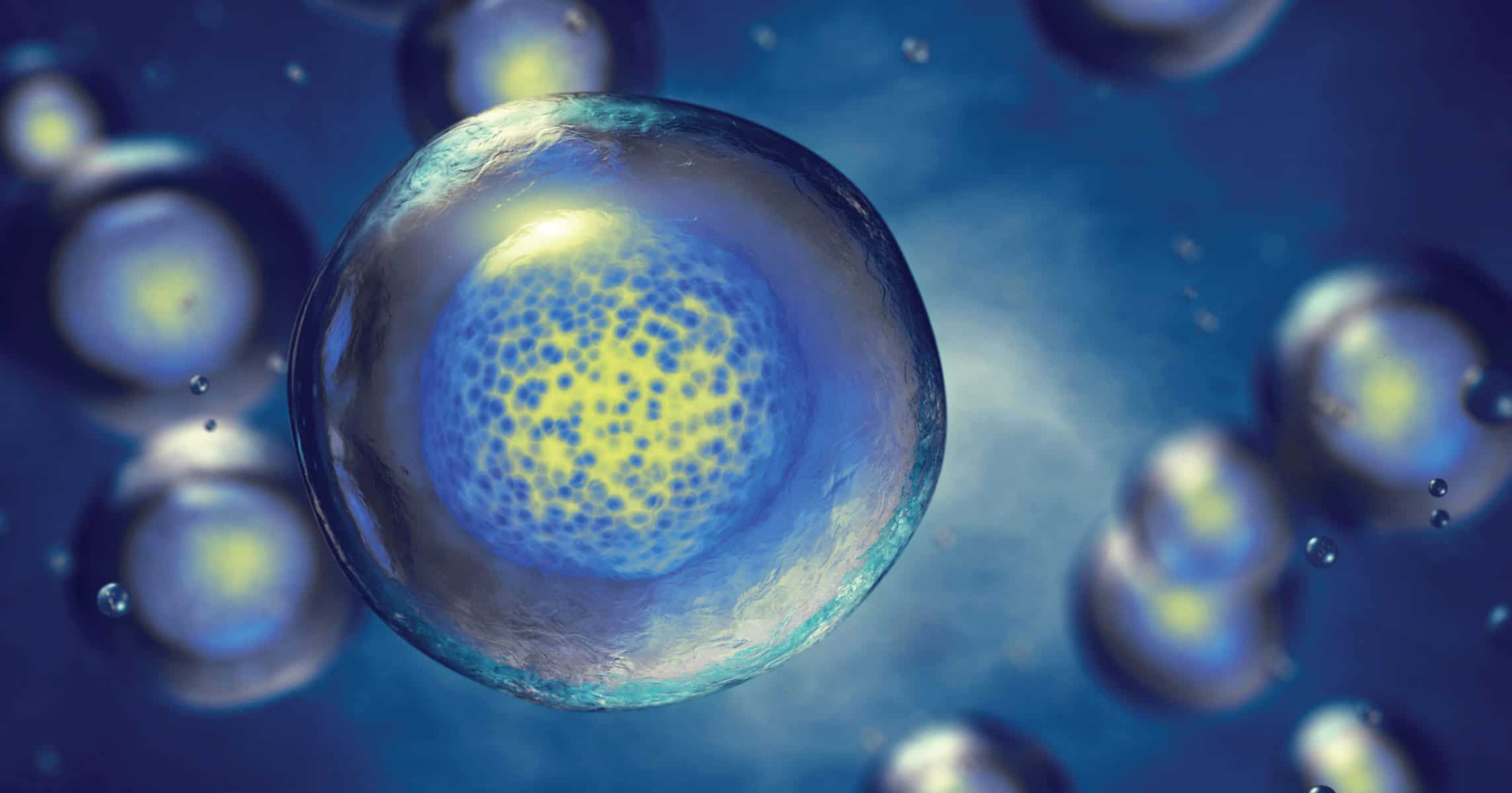 things to avoid with degenerative disc disease