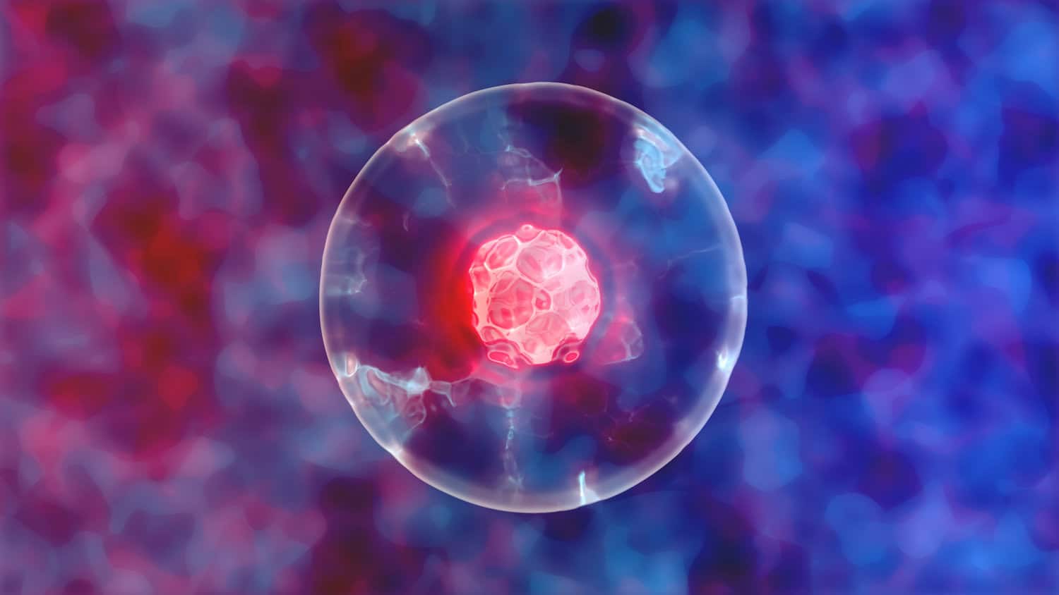 Pluripotent stem cells in tijuana mexico