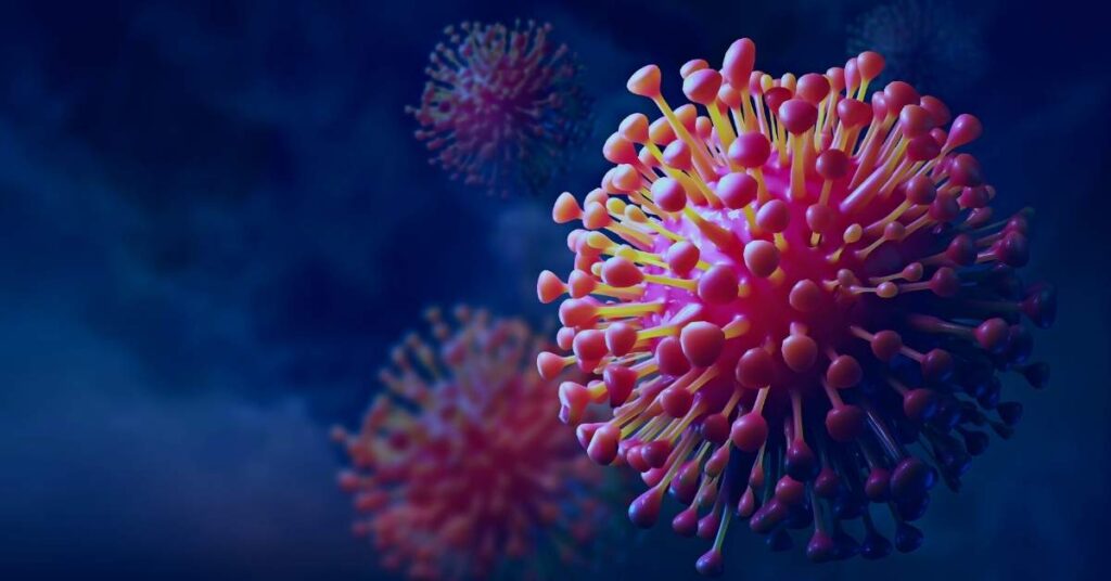 stem cells in capsules 2