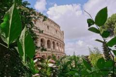 rome044_0046-scaled
